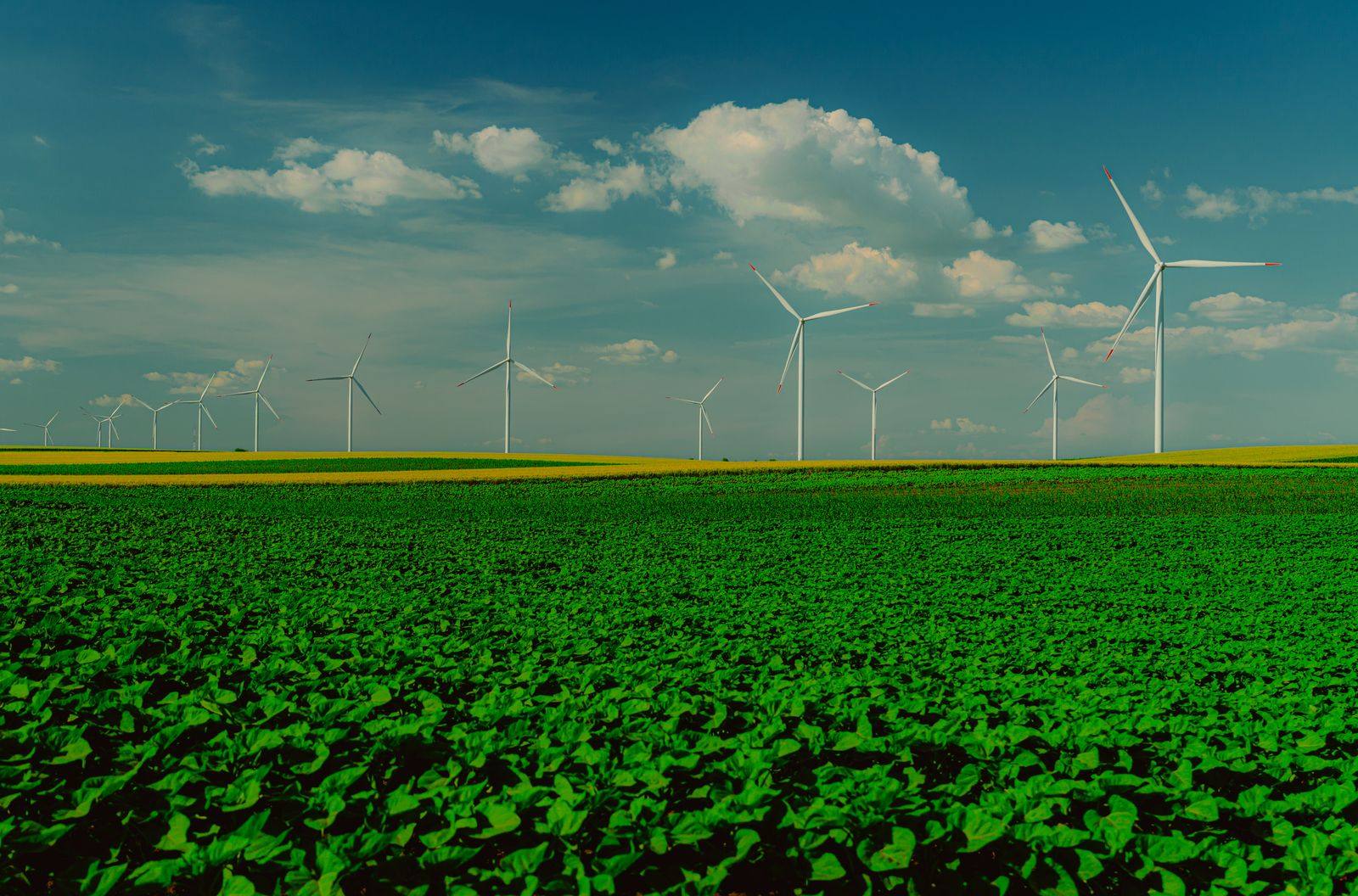 ESG, Sustainability and Climate Advisory